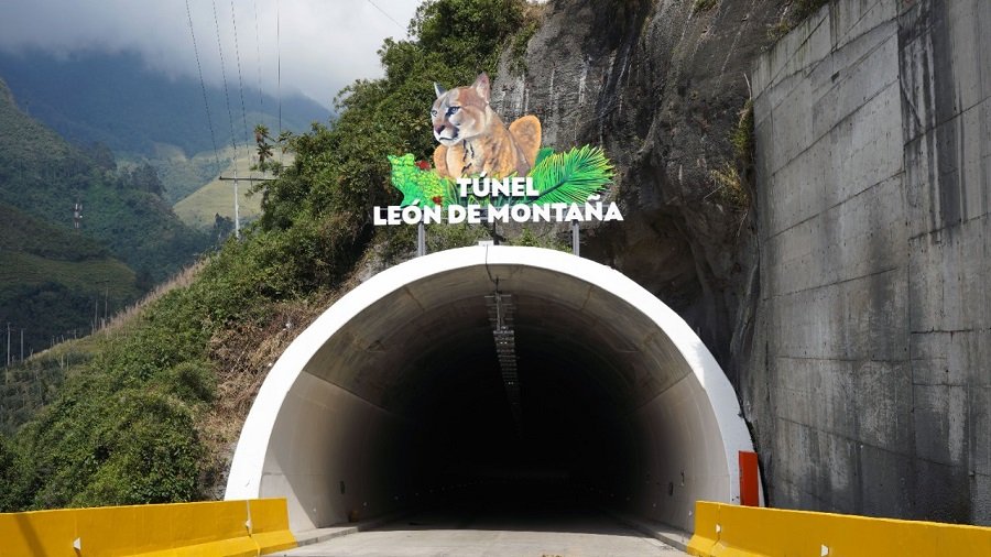 CordilleraCentral-TúnelLeóndeMontaña