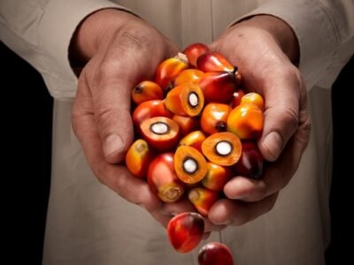 Fedepalma-aceitesostenible (2)