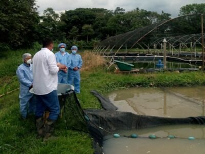 ICA-OIE-3.práctica denecropsia-y toma de muestras en campo