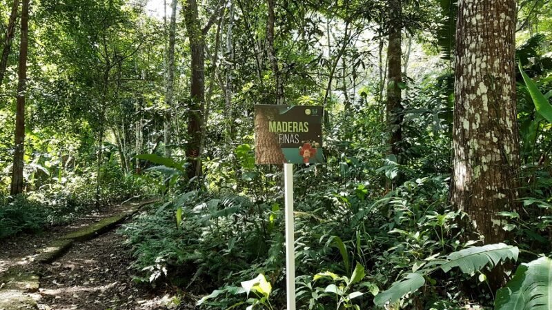 LasGuartinajas-maderasfinas (2)