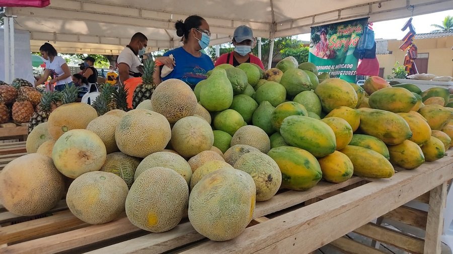 Lorica-MercadoCampesino-frutas