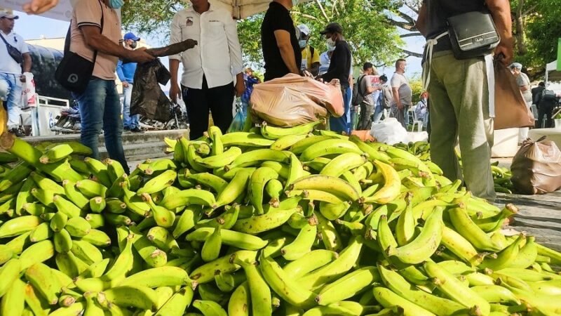 Lorica-MercadoCampesino-plátano (2)