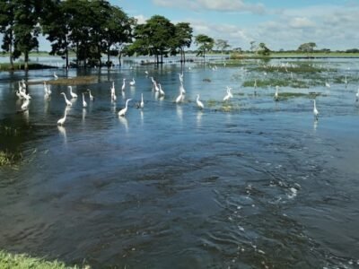 Lorica-situacióndeinundación (2)