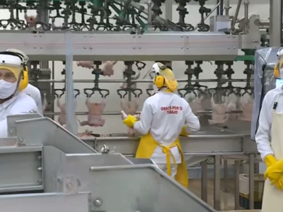 MacPollo-beneficiodeaves