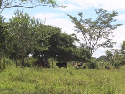 Montería-LaMojana-SanMarcos (172)