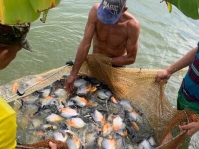 PiscícolaVillaMaría (3)