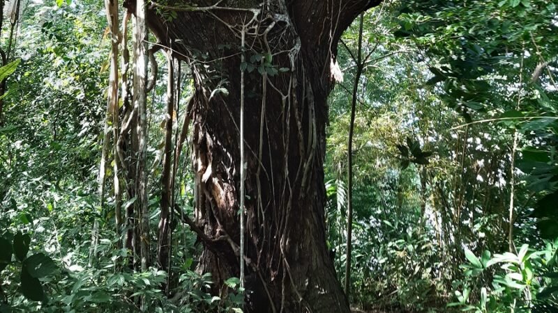 Reservasnaturales (2)