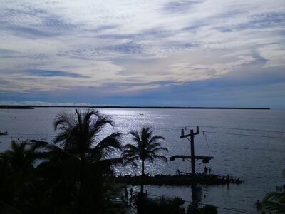 SanAntero-playas-manglares-animales (72)