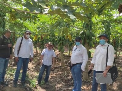 Valencia-Appalsi-lote-pasosparacertificarse