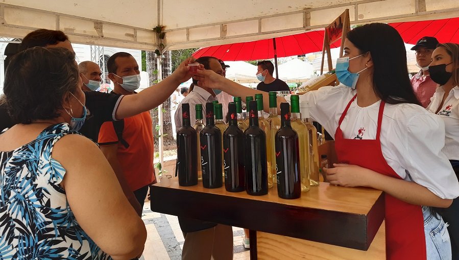 Vinoartesanaldecorozo-degustación