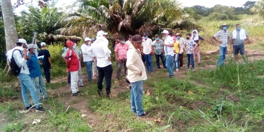 Asopegan-EscueladeCampo
