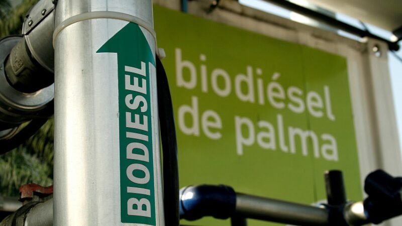 Biodiésel-estacióndegasolina (2)