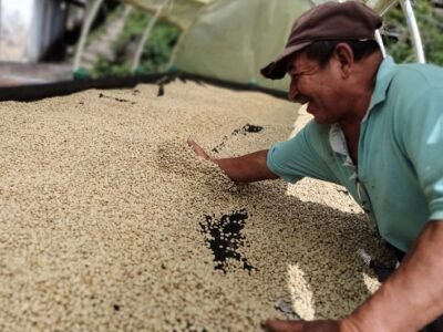 Café-hombremoviendocaféseco (2)