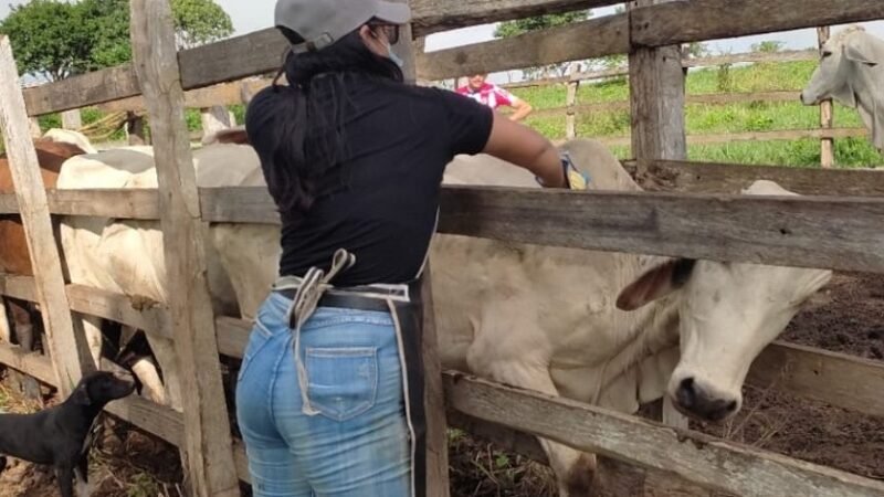 Ciclo de vacunación antiaftosa-foto1-mujer (3)