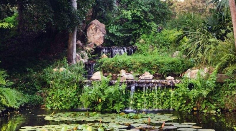 JardínBotánico-SantaMarta (2)