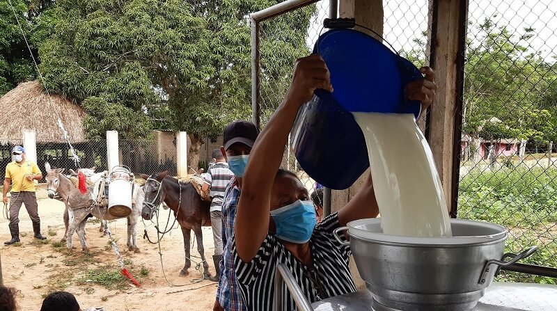 Leche-acopioentanquefrío