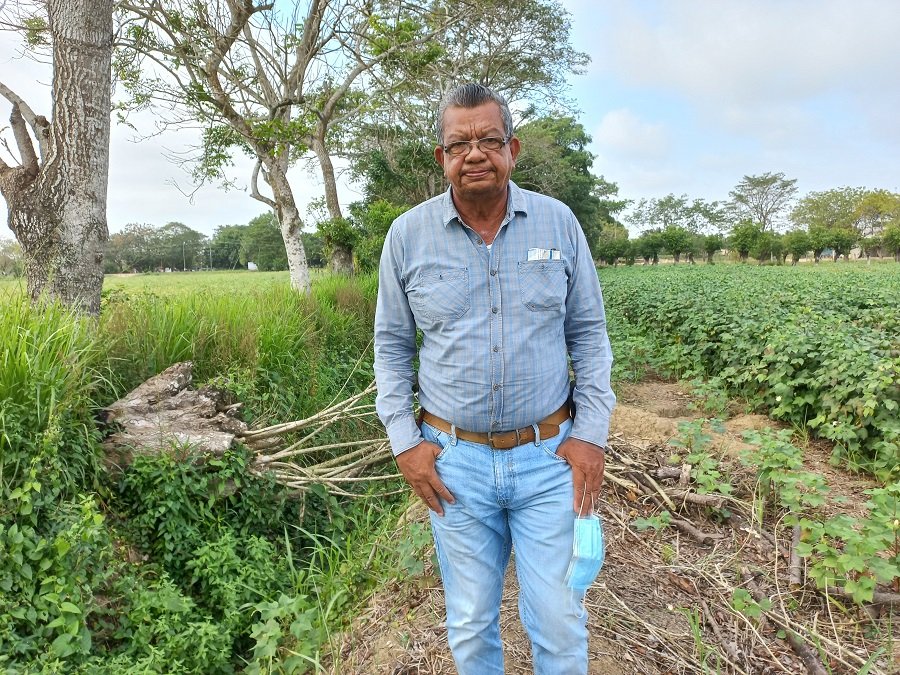 AlejandroPoloencultivodealgodón