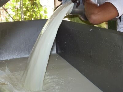 LecherosCentroAlegre-CampoBello-CCGanadera 033 (2)