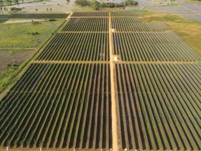 SanBenitoAbad-LaSierpe (2)