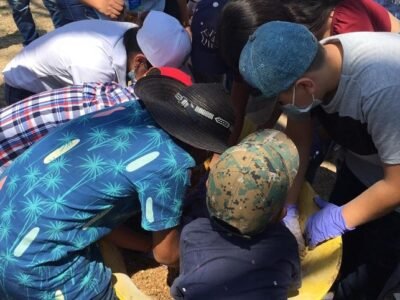 Asoagrochimá-Turipaná-elaboranbloquesnutricionales (2)