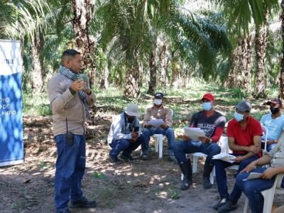 CargillyCenipalma (2)