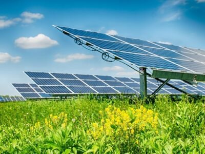 Energíafotovoltaica-sectorganadero1 (2)
