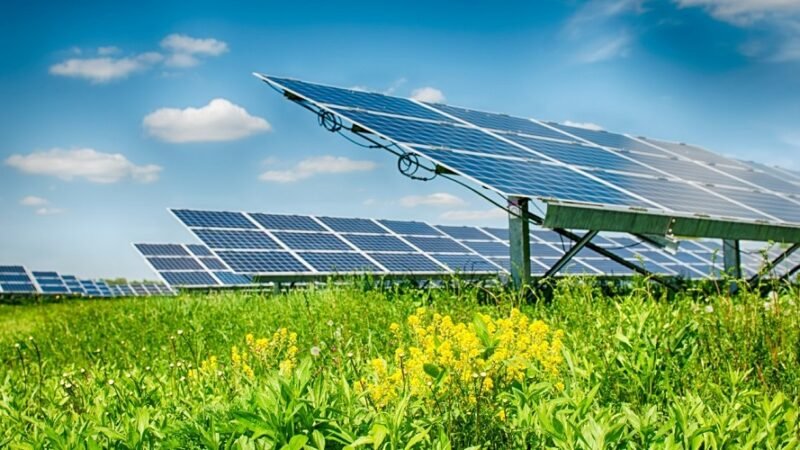 Energíafotovoltaica-sectorganadero1 (2)