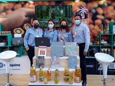 FedepalmaenBucaramanga(2)