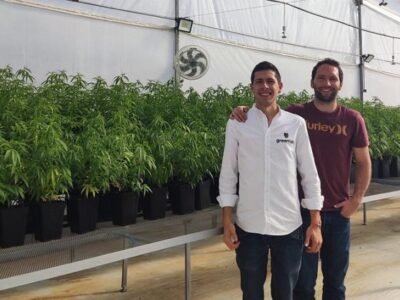 Greenlab-cannabis-NFT-1 (2)