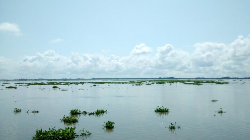 Humedales-Córdoba-Ayapel