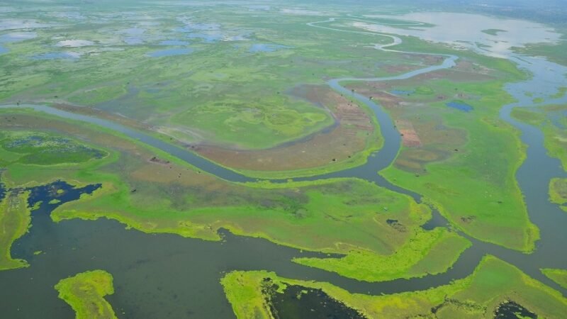 Humedales-Córdoba1-BajoSinú (2)