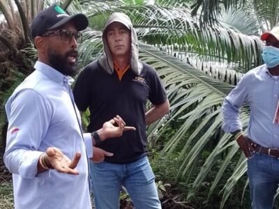 Palmicultores-Tumaco1 (3)