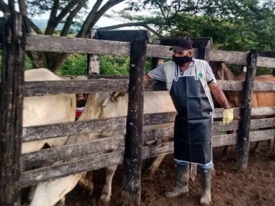 Vacunadores extremos 6 (2)