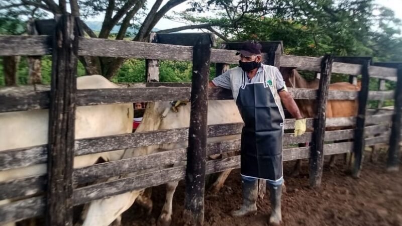 Vacunadores extremos 6 (2)