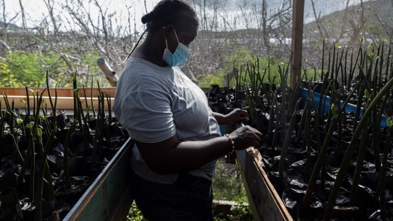 Aguasresiduales-agricultura-FOTO 1 (3)