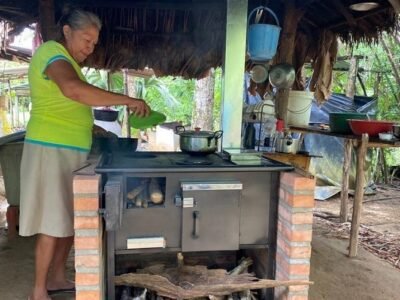 CVS-estufasecoeficientesconseñora (2)