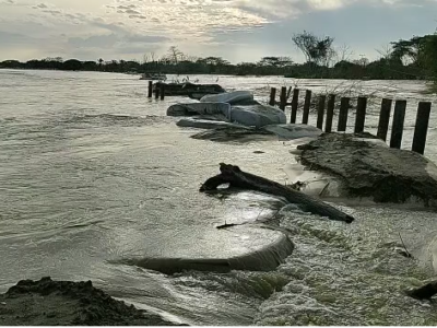 CaradeGato-rebosado-2demarzo1