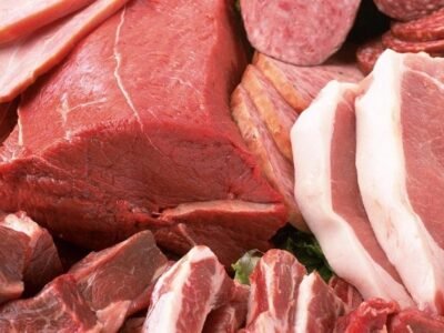 Carnedeorigenanimal (2)