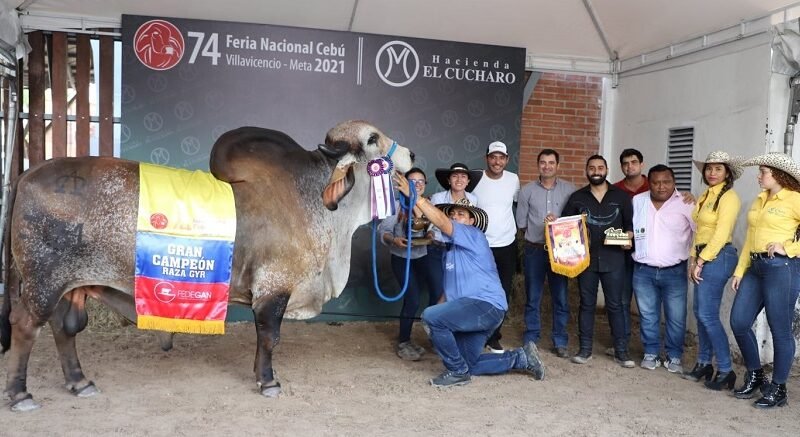 FeriaNacionalCebú-GranCampeónGyr-331-7 (2)