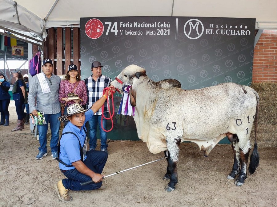 FeriaNacionalCebú-campeónternero-Alicante