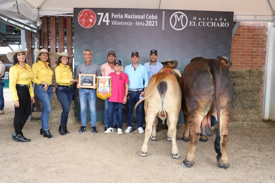 eriaNacionalCebú-descendenciavacarep-natural-brahmanrojo-464-D4