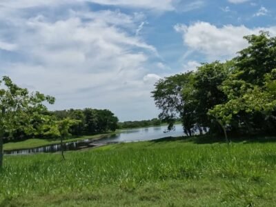 Ganaderíasostenible-manejodeagua (2)