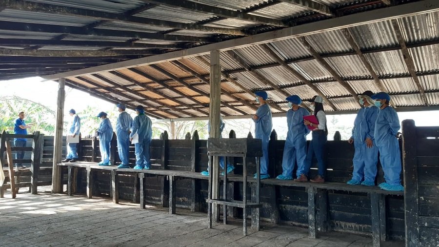 ICA-RanchoCorona-GanaderíaElRosario2