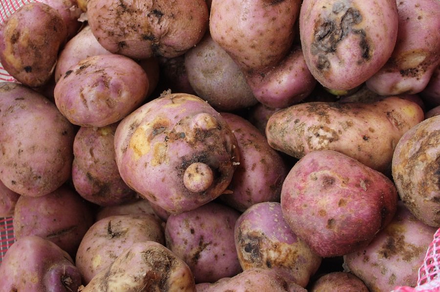 Papasenelmercado (2)