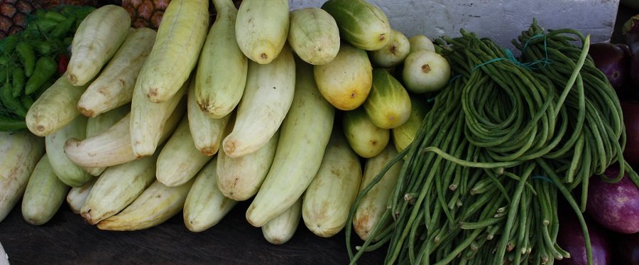 Pepinosyhabichuela (2)