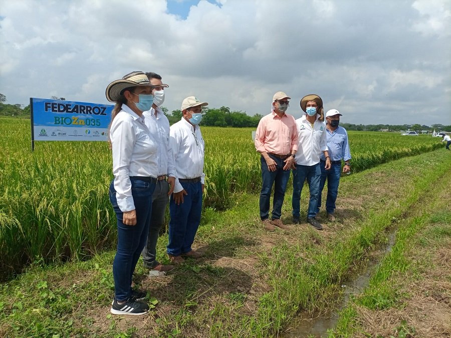 Unicor-arrozfortificado