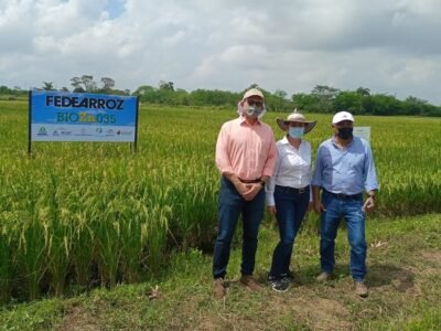 Unicor-arrozfortificado1 (2)