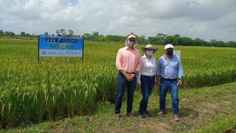 Unicor-arrozfortificado1 (2)