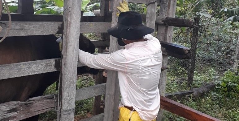 Vacunaciónantiaftosa-Segunda semana interciclo-FOTO 2 - (2)
