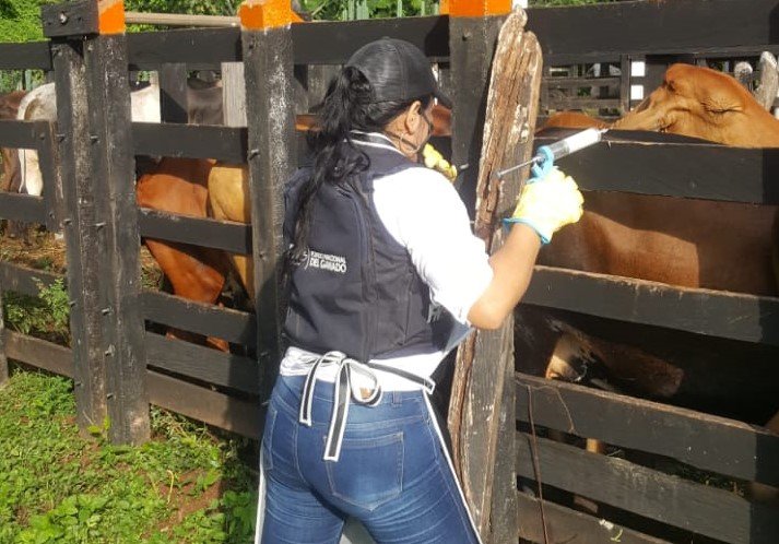 Recordemos que el ciclo se desarrolló entre el 14 de febrero y el 15 de marzo.